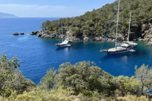 Gulet and motorsailer yacht charter with crew - Blue Cruise